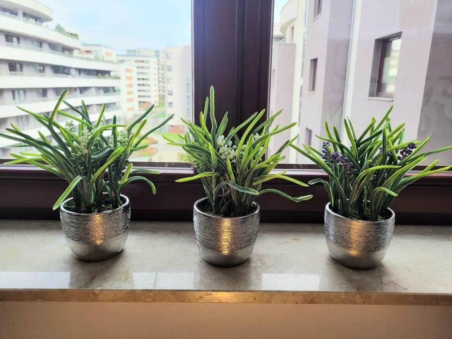 Apartment Sophie 3 Rooms, 2 Bathrooms, 8 Persons Krakau Buitenkant foto